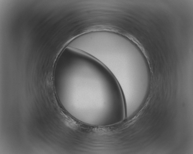 X0000083611089200702120717