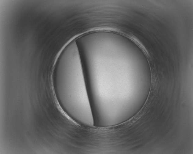 X0000083611092200702120717