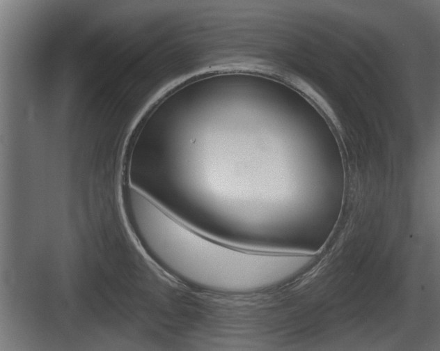 X0000083611093200702120717