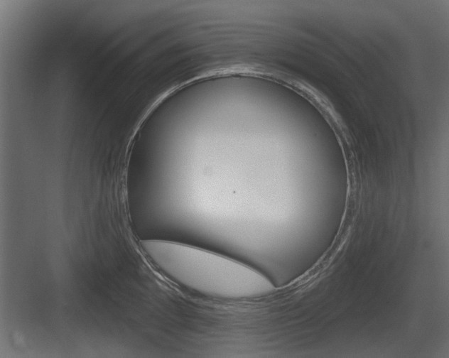 X0000083611097200702120717