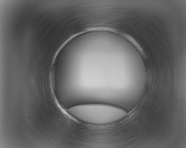 X0000083611100200702120717