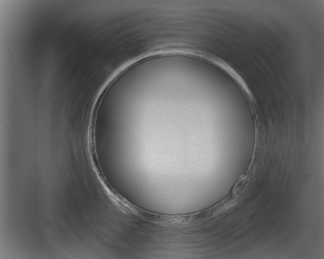 X0000083611101200702120717