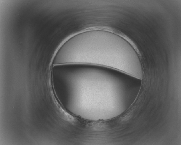 X0000083611102200702120717