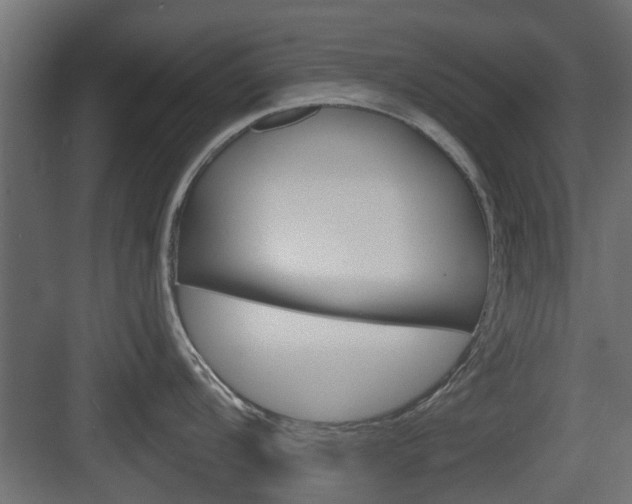 X0000083611104200702120717