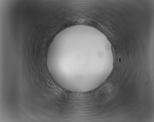 X0000083611105200702120716