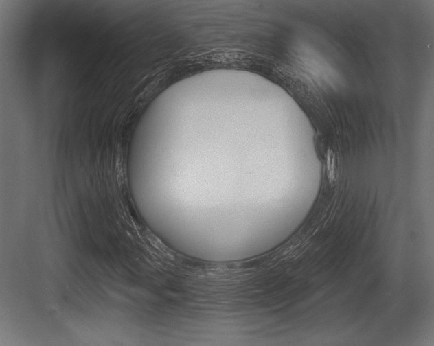 X0000083611107200702120716