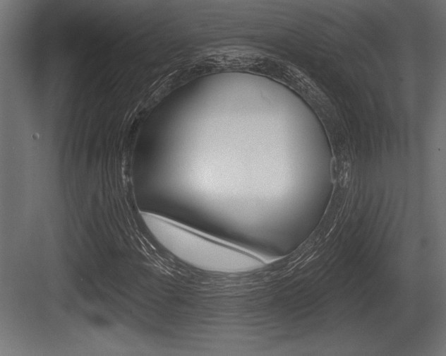X0000083611108200702120716