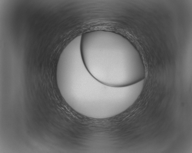 X0000083611109200702120716