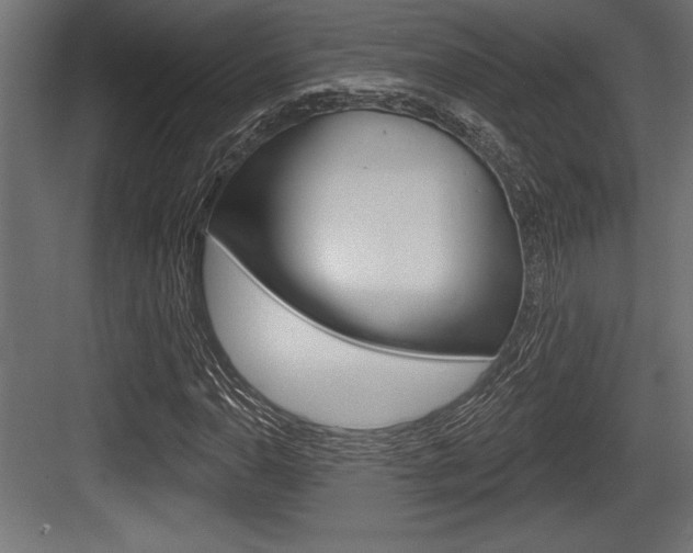 X0000083611110200702120716