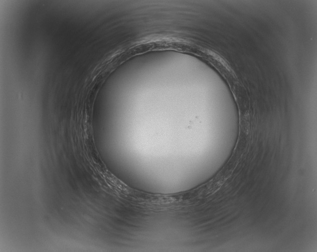 X0000083611111200702120716