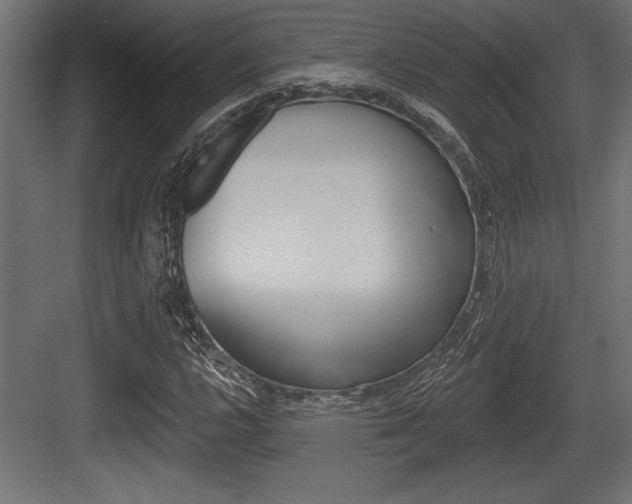 X0000083611112200702120716