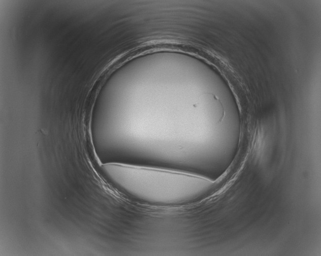 X0000083611113200702120716
