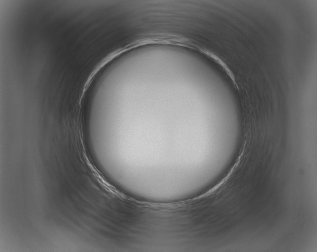 X0000083611114200702120716