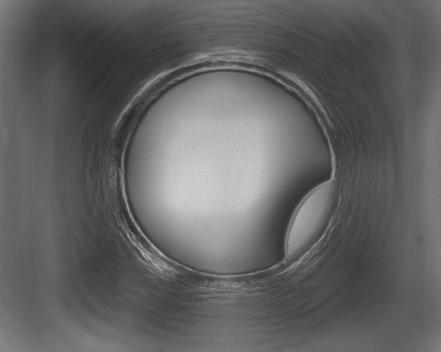 X0000083611115200702120716