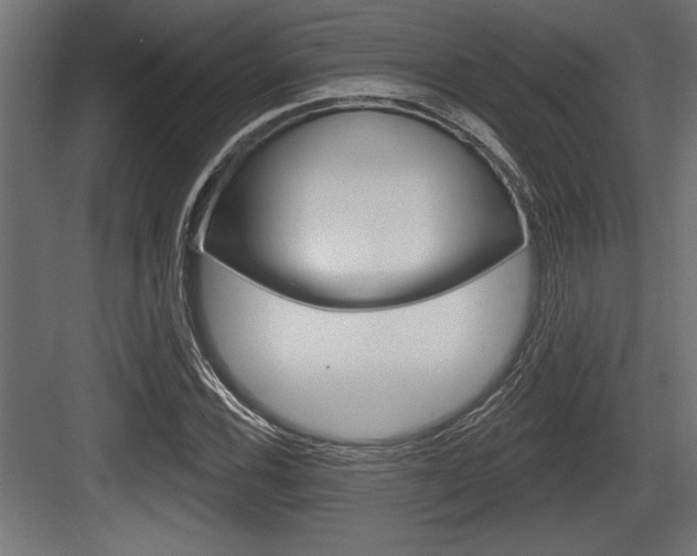 X0000083611116200702120716