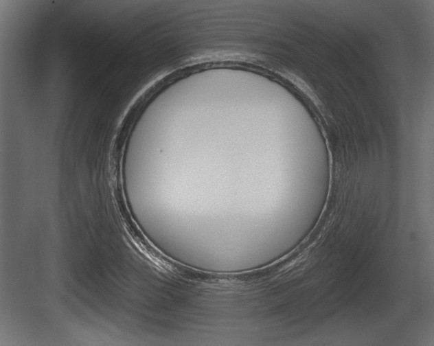 X0000083611119200702120716