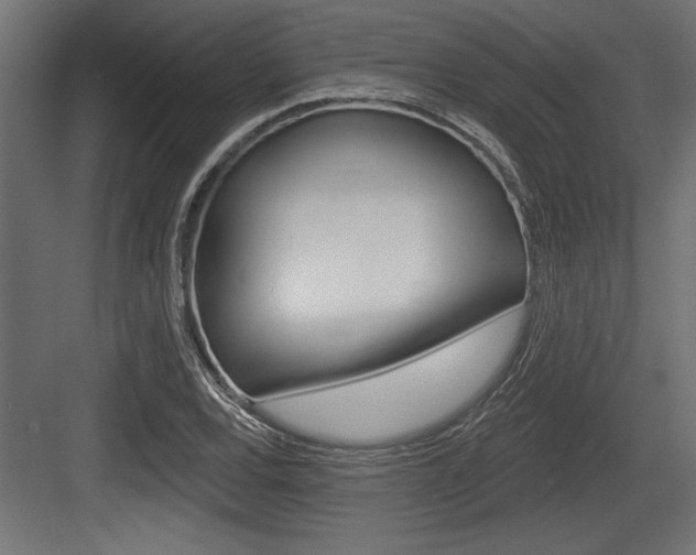 X0000083611120200702120716