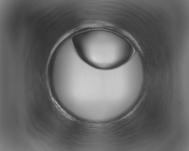 X0000083611122200702120716