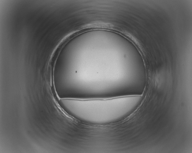 X0000083611123200702120716