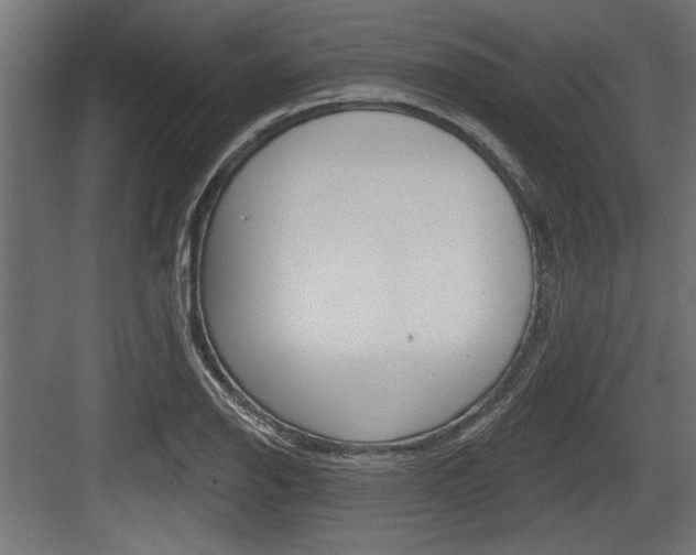 X0000083611126200702120717
