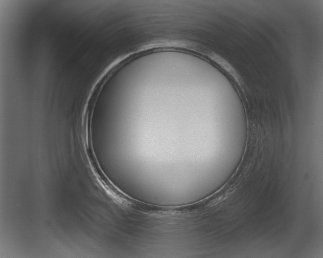 X0000083611127200702120717