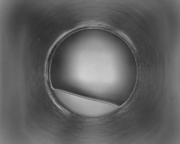 X0000083611128200702120717
