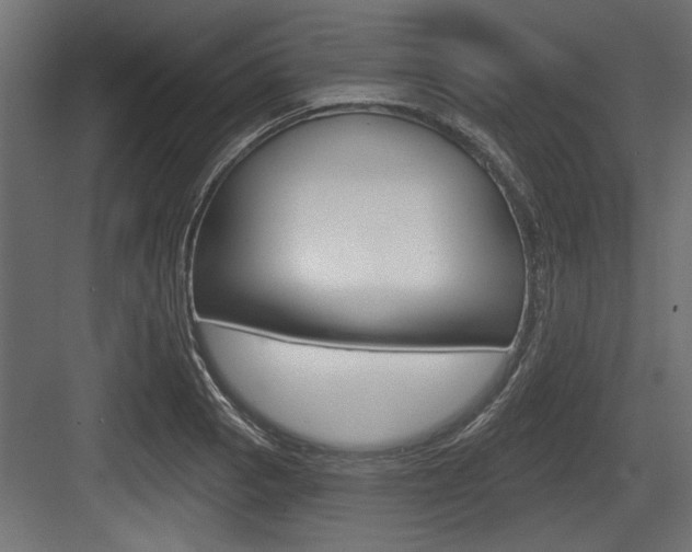 X0000083611129200702120717