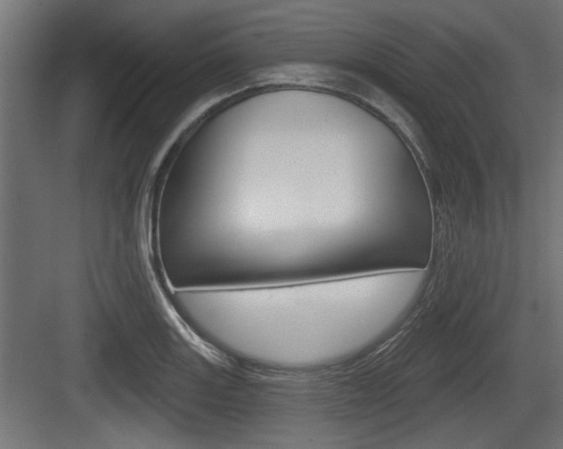 X0000083611131200702120717