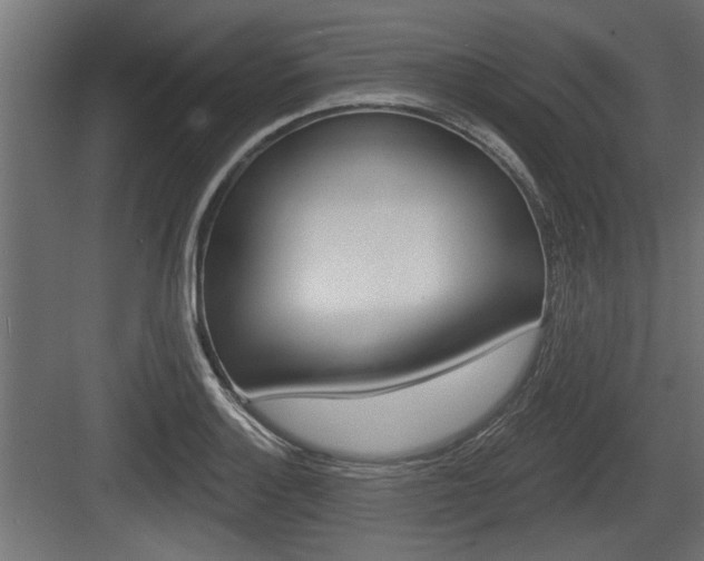 X0000083611132200702120717