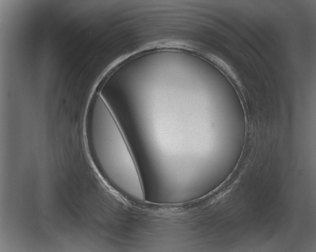 X0000083611133200702120717