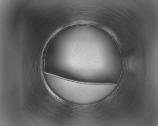 X0000083611135200702120717