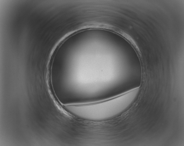 X0000083611136200702120717