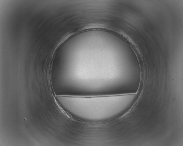 X0000083611137200702120717