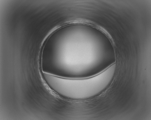 X0000083611138200702120717