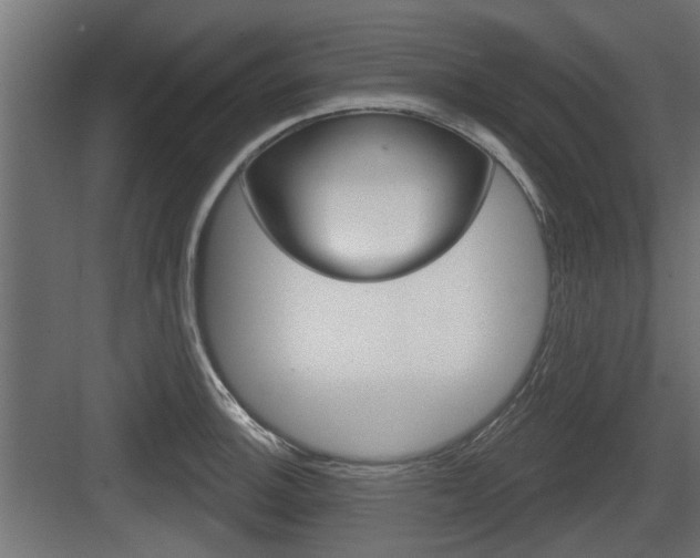 X0000083611140200702120717