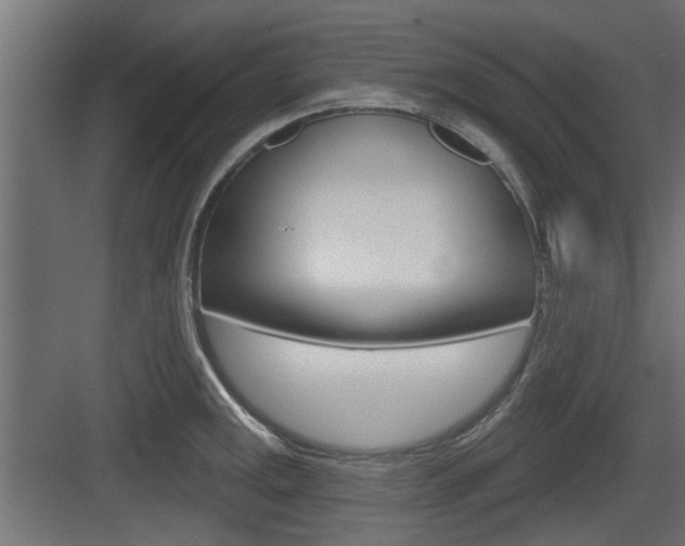 X0000083611141200702120717