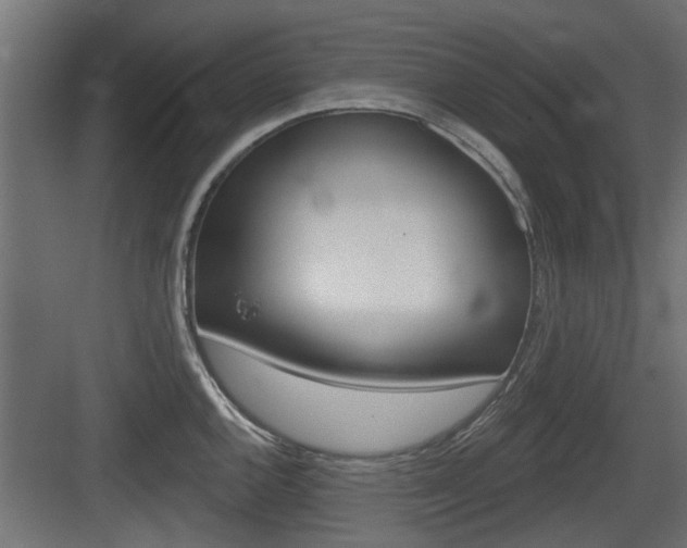 X0000083611144200702120717