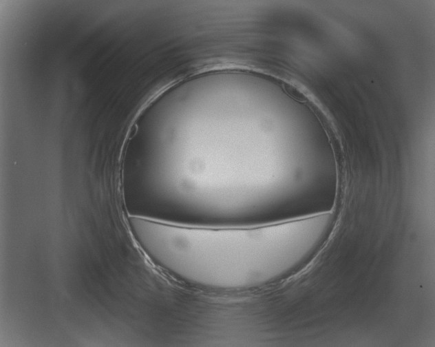X0000083611145200702120717