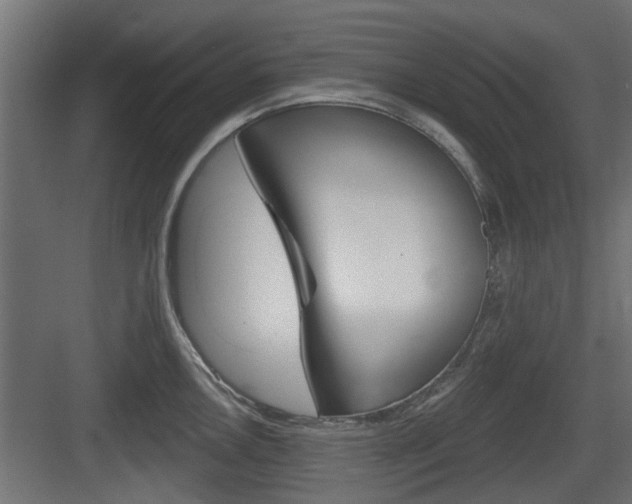X0000083611146200702120717