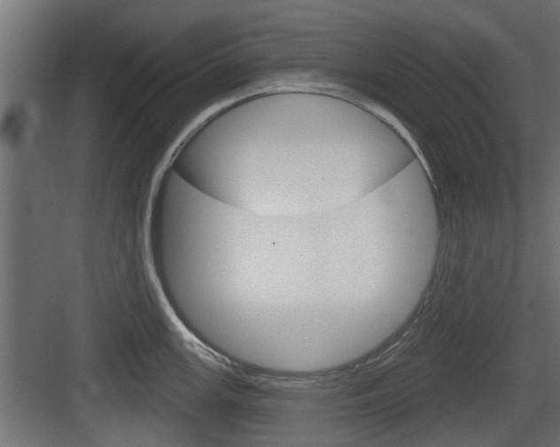 X0000083611147200702120717