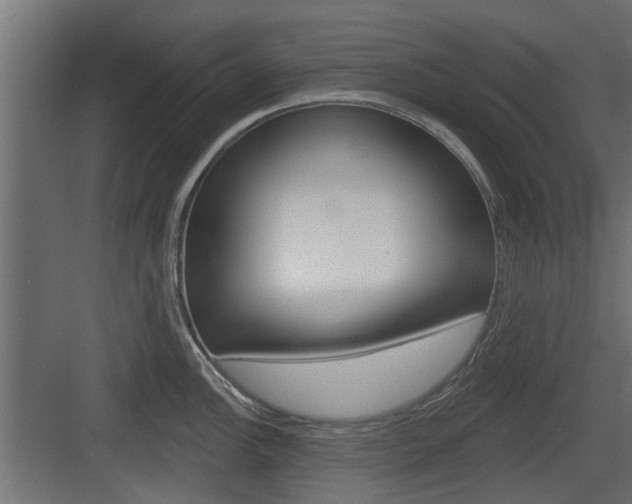 X0000083611148200702120717