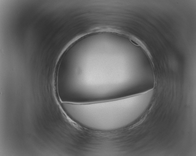 X0000083611149200702120717