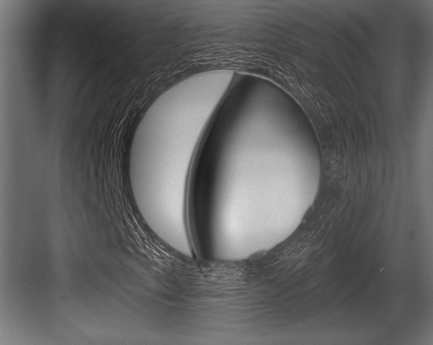 X0000083611153200702120716