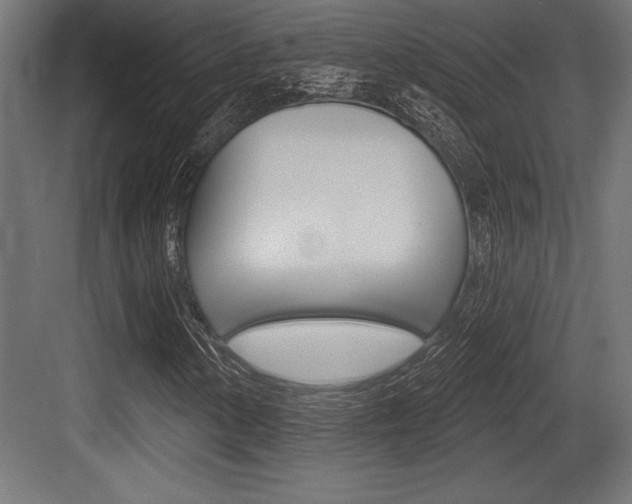 X0000083611154200702120716
