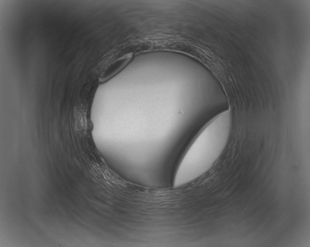 X0000083611155200702120716
