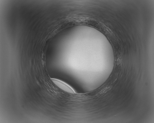 X0000083611156200702120716