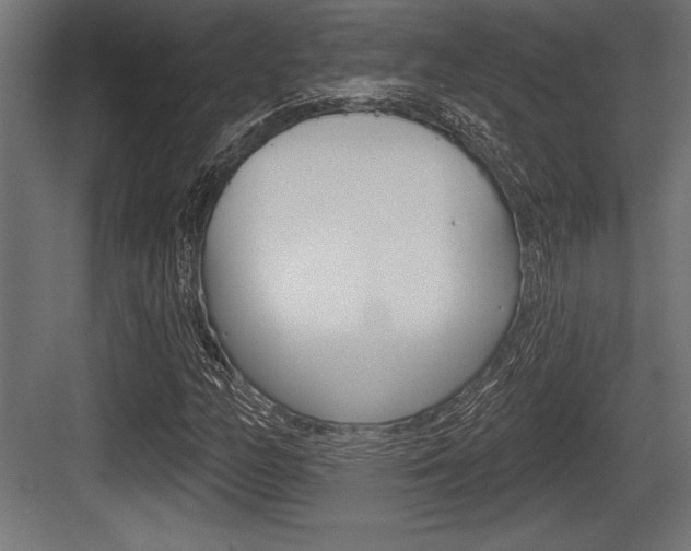 X0000083611158200702120716