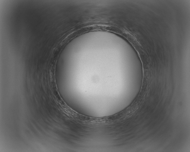 X0000083611159200702120716