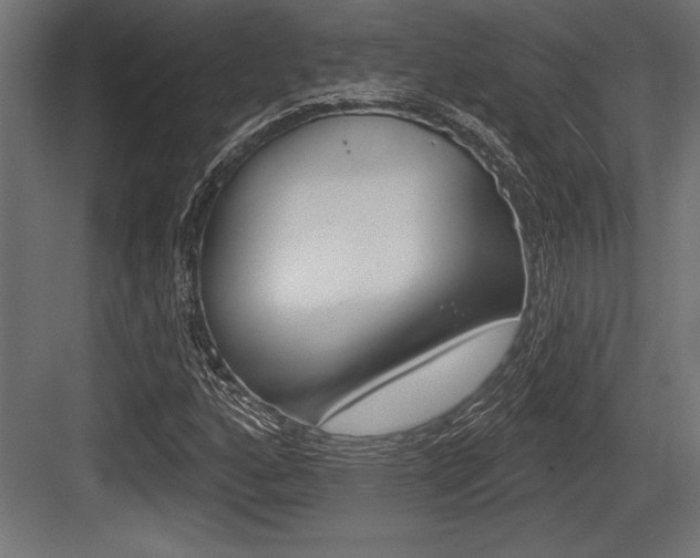 X0000083611160200702120716