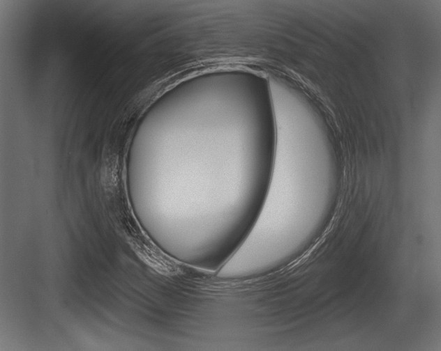 X0000083611161200702120716